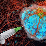 Molecular Biomedicine
