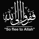 ففروا الى الله