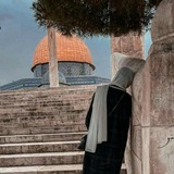 انْــتِــماء قــلــــم