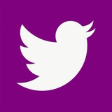 Mimtweet | میم توئیت
