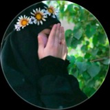 شهر شعبان ولادة الاقمار 🕊 ارث الزهـراء _ ✧ ستوريات حسينيه _رمزيات حسينية _ليلة الجمعة ⁽♔₎┋دِآر آلُِمتقٌين ┋✧ حسينيات <i class="emoji" style="background-im
