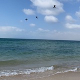 بحَر
