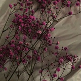 أنـــت/💗\you