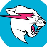 Beast Philanthropy