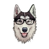 HUSKY