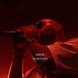 کنسرت وانتونز | Wantonsamor