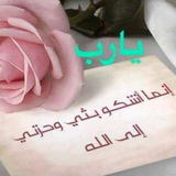 علوم مرحله ابتدائيه