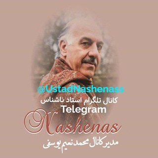 استاد ناشناس