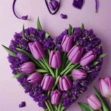 زهرة التوليـ 🌷 ـب