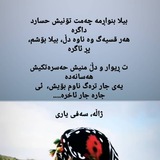 شعر و متن کردی