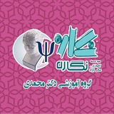 موسسه آموزش عالی نگاره، گروه آموزشی دکتر محمدی