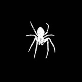 Profile Pictures / Wallpapers!
