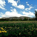 اطلاع رسانی عنصرود(آستاری)