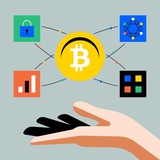 تریدرارزدیجیتال سرمایه گذاری قیمت دلاری