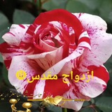 ازدواج ☫