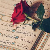 القرآن الكريم (هُدى اللهُ) 🌺