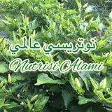 Nutrisi Alami