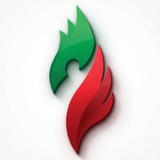Молодёжная организация Группы «Татнефть»