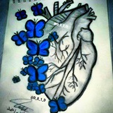 أثــــر فـــراشـــة... 🦋