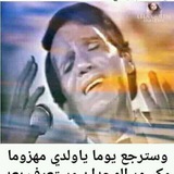 عبد الحليم حافظ