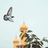 Картинка канала