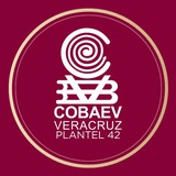 COBAEV 42 Canal oficial🐯🐯🐯