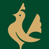 ماهد | Maahed