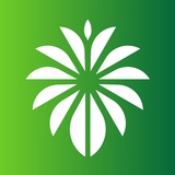 Saudi Youth Opportunities