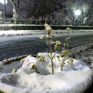 موسیقی برای تمرکز