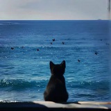 Fadfadh _فضفضة