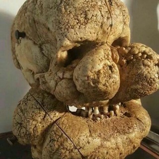 Super duper odontologist