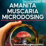 Amanita Muscaria recenzje mikrodozowania 🇵🇱