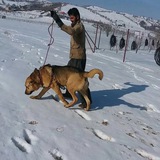 كانال رسمي منصور. سردشت