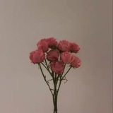 ادعيه | ذكر الله