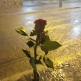 - أنـِـين .