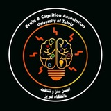 انجمن مغز و شناخت دانشگاه تبریز