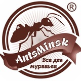 AntsMinsk Official