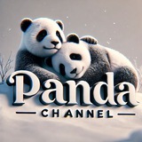 🐼 Panda 🐼