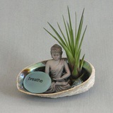 Guided Meditation by Chaw