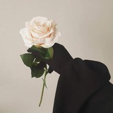 كارديـنـيـا 🌸 💜