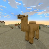 Minecraft Gallery