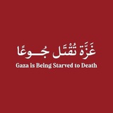 فلسۜطيۧنۨــہ ٱلتٱريۧخۡ 🇵🇸 💚