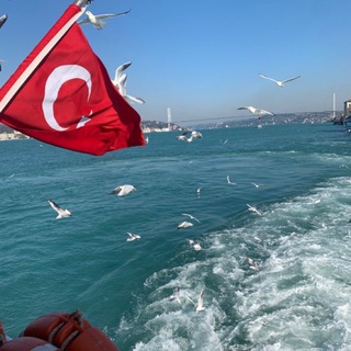 Турецкий с нуля 🇹🇷