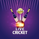 MATCH LIVE
