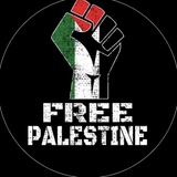 GAZA NEWS 🇵🇸 أخبار غزه