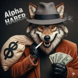 Crypto ALPHA - WOLF