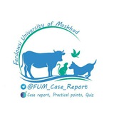 Case Report