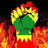 Save Oromia πͺ