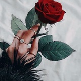ضي القمر 🦋