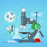 Картинка канала